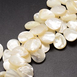 Natural Trochid Shell/Trochus Shell Beads Strands, Top Drilled Beads, Teardrop, Creamy White, 16x12x3~4mm, Hole: 1mm, about 46pcs/strand, 12 inch(SSHEL-K009-06)
