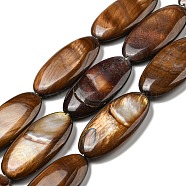 Dyed Natural Freshwater Shell Beads Strands, Oval, Saddle Brown, 31x15x5mm, Hole: 0.8mm, about 13pcs/strand, 15.83 inch(40.2cm)(BSHE-G034-23)