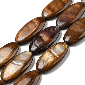 Dyed Natural Freshwater Shell Beads Strands, Oval, Saddle Brown, 31x15x5mm, Hole: 0.8mm, about 13pcs/strand, 15.83 inch(40.2cm)