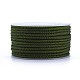 Polyester Braided Cord(OCOR-F010-A40-2MM)-1