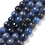 Natural Dumortierite Beads Strands, Faceted(128 Facets), Round, 10.5mm, Hole: 1.2mm, about 37pcs/strand, 15.16''(38.5cm)(G-E571-06C)