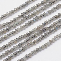 Natural Labradorite Bead Strands, Faceted Rondelle, 3x2mm, Hole: 1mm, about 162pcs/strand, 15.5 inch(G-I156-04-3x2)