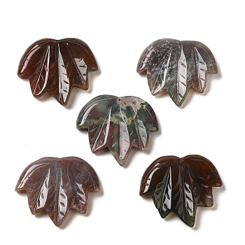 Natural Indian Agate Carved Pendants, Leaf Charms, 43~44x49~50x7~7.5mm, Hole: 1.4mm