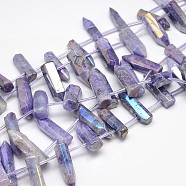 Electroplate Gemstone Natural Quartz Crystal Beads Strands, Irregular Shape, Medium Purple, 15~25x6~14x6~12mm, Hole: 1mm, about 25pcs/strand, 15.74 inch(G-L134-02)