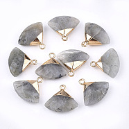 Electroplate Natural Labradorite Pendants, with Brass Findings, Faceted, Triangle, Golden, 17~18x19~20x6~7mm, Hole: 1.8mm(X-G-T112-04A)