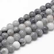 Natural Hawk's Eye Beads Strands, Eagle Eye Stone, Round, 8~9mm, Hole: 1mm, about 45~48pcs/strand, 15.7 inch(G-R446-8mm-17)