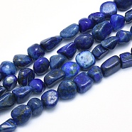 Natural Lapis Lazuli Beads Strands, Tumbled Stone, Nuggets, 8~14x6~10x4~10mm, Hole: 0.8mm, about 40~43pcs/strand, 15.3~15.7 inch(39~40cm)(G-G765-33)