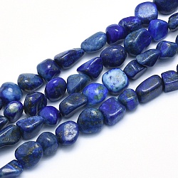 Natural Lapis Lazuli Beads Strands, Tumbled Stone, Nuggets, 8~14x6~10x4~10mm, Hole: 0.8mm, about 40~43pcs/strand, 15.3~15.7 inch(39~40cm)(G-G765-33)