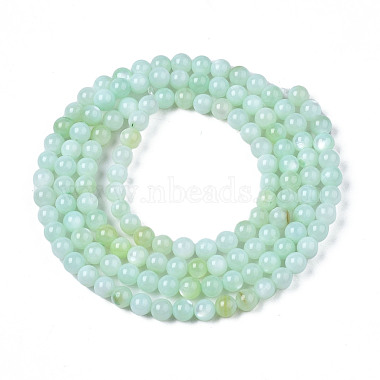 Natural Freshwater Shell Beads Strands(X-BSHE-T009A-01D)-2