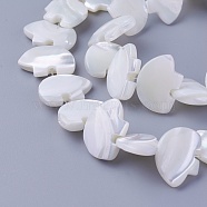 Shell Beads Strands, Animal, 12.8~13x17.6~18x3.5~4mm, Hole: 0.5mm, about 32pcs/strand, 15.55 inch(39.5cm)(SSHEL-E571-26)