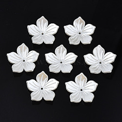 ABS Plastic Imitation Pearl Beads, Flower, Creamy White, 25x26x5.5mm, Hole: 1.6mm(X-OACR-N012-001)