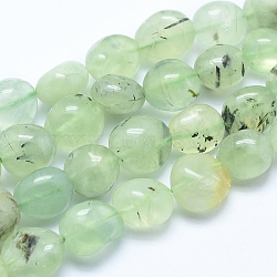 Natural Prehnite Beads Strands, Nuggets, 10~16x7~14mm, Hole: 0.8mm, about 25~35pcs/strand, 15.7 inch(40cm)(X-G-E483-71)