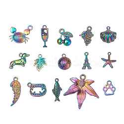 15Pcs 15 Style Alloy Plated Pendants, Maple Leaf & Cherry & Fish & Football & Starfish & Teeth & Crab & Dachshund & Paw Print & Wing & Grape & Iron Tower, Rainbow Color, 12.5~26x8.5~31x1~5mm, Hole: 1.5~3mm, 1pc/style(FIND-YW0001-32)