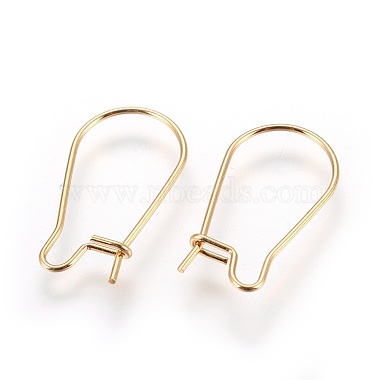 304 Stainless Steel Hoop Earrings(X-STAS-P227-13G)-2