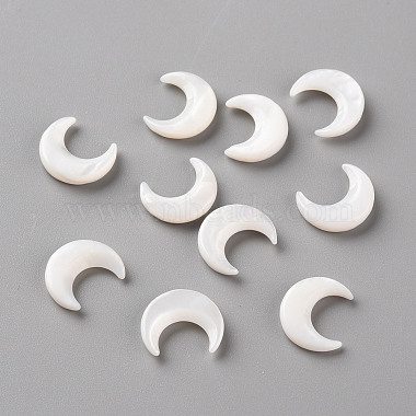 Natural White Shell Beads(SSHEL-Q311-004A-02)-2