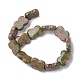 Natural Unakite Beads Strands(G-K359-D09-01)-3