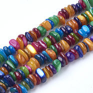 Natural Freshwater Shell Beads Strands, Dyed, Chip, Mixed Color, 5~10x5~10x2~5mm, Hole: 1mm, about 117pcs/strand, 14.96 inch(SHEL-Q008-96)