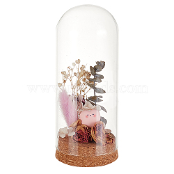 Glass Dome Cover, Decorative Display Case, Cloche Bell Jar Terrarium with Cork Base, for DIY Preserved Flower Gift, Clear, 65x153mm(AJEW-WH0314-446A)