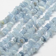 Natural Aquamarine Beads Strands, Chip, Grade AA, Light Sky Blue, 3~5x7~13x2~4mm, Hole: 0.4mm, about 31.5 inch(80cm)(G-F328-32)