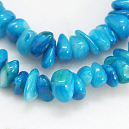 Natural Shell Beads Strands, Dyed, Chips, Deep Sky Blue, 5~12x5~8x1~6mm, Hole: 1mm(BSHE-D002-04)