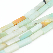 Natural Flower Amazonite Bead Strands, Cuboid, 13~14x4~5x4~5mm, Hole: 1mm, about 29~31pcs/strand, 15.3 inch(X-G-R299-23)