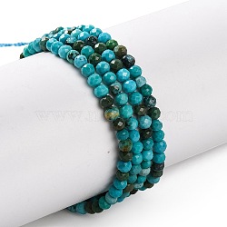 Natural Howlite Beads Strannds, Dyed, Faceted, Round, Medium Turquoise, 2mm, Hole: 0.3mm, about 178~186pcs/strand, 15.08~15.75''(38.3~40cm)(G-C025-02A-04)