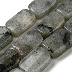 Natural Labradorite Beads Strands, Rectangle, 17~18x12.5~13x6~6.5mm, Hole: 1mm, about 22pcs/strand, 15.35''(39cm)(G-M420-M02-02)