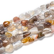 Natural Botswana Agate Beads Strands, Nuggets, Tumbled Stone, 5~8.5x5.5~7x3.5~4mm, Hole: 0.7mm, about 64pcs/strand, 16.34''(41.5cm)(G-G018-26)