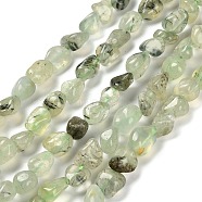 Natural Prehnite Beads Strands, Nuggets, Tumbled Stone, 7~13x4.5~10x4.5~10mm, Hole: 1.2mm, about 44~46pcs/strand, 15.08''~16.14''(38.3~41cm)(G-P497-01E-39)