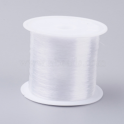 Fishing Thread Nylon Wire, Clear, 0.6mm, about 17.49 yards(16m)/roll(NWIR-G015-0.6mm-01)