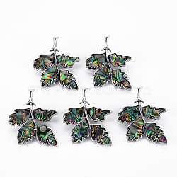 Leaf Shape Natural Abalone Shell/Paua Shell Brooch Pin, Alloy Lapel Pin for Backpack Clothing, Lead Free & Cadmium Free, Antique Silver, Colorful, 44~47x36~37x10mm, Hole: 6x4mm, Pin: 0.7mm(G-N333-011A-RS)