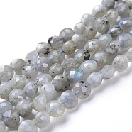 Natural Labradorite Beads Strands, Faceted, Flat Round, 6~7x4~4.5mm, Hole: 1mm, about 61~64pcs/strand, 14.96 inch(38cm)(G-L538-011)