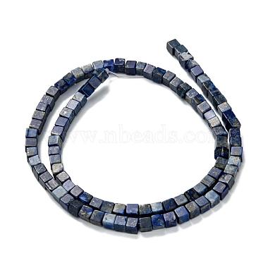 Natural Lapis Lazuli Beads Strands(G-F631-K05)-3
