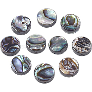 Natural Abalone Shell/Paua Shell Beads Strands, Flat Round, Colorful, 10x3.5mm, Hole: 0.8mm, about 40pcs/strand, 16 inch(40.64cm), 1strand/box(SSHEL-BC0001-11)