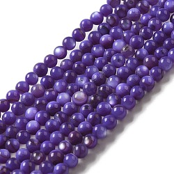 Natural Freshwater Shell Beads Strands, Round, Dyed, Slate Blue, 3mm, Hole: 0.5mm, about 124~132pcs/strand, 14.96''(38cm)(SHEL-H003-03B)