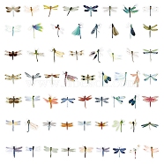 Original Dragonfly Graffiti Stickers 50Pcs Cute Insect Decorations For Cars Gift Box Shop Windows Glass Waterproof Die-Cut Stickers, Colorful, 51~65mm(PW-WGFA9F4-01)