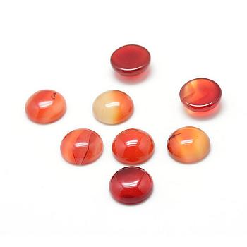 Dyed Natural Carnelian Gemstone Cabochons, Half Round, 8x4mm