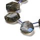 Natural Labradorite Beads Strands(G-Z040-A03-01)-4