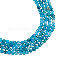 2 Strands Round Natural Apatite Beads Strands, Grade AB, 4~4.6mm, Hole: 1mm, about 93pcs/strand, 6.10''(15.5cm)(G-NB0004-51)