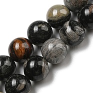 Natural Black Silver Leaf Jasper Beads Strands, Round, 10mm, Hole: 0.7mm, about 40pcs/strand, 15.63''(39.7cm)(G-R494-A17-04)