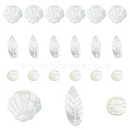 18Pcs 3 Styles Natural Sea Shell Pendants, Shell Charms, Shell Shape & Leaf & Flat Round, 13~27x11~21x1~1.5mm, Hole: 1~1.4mm, 6pcs/style(FIND-DC0003-75)