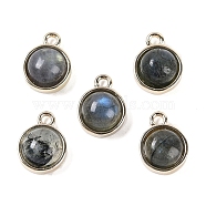 Natural Labradorite Pendants, with GoldenTone Rack Plating Brass, Flat Round, 9.8x7.5x4.3mm, Hole: 1.2mm(G-K372-03G-08)