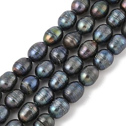 Natural Cultured Freshwater Pearl Rice Beads Pearl Beads Strands, Dyed, Rice, Prussian Blue, 8~11x7~8mm, Hole: 0.6~0.7mm, about 41~42pcs/strand, 16.23 inch(41cm)(PEAR-R012-05)