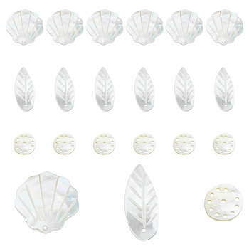 18Pcs 3 Styles Natural Sea Shell Pendants, Shell Charms, Shell Shape & Leaf & Flat Round, 13~27x11~21x1~1.5mm, Hole: 1~1.4mm, 6pcs/style