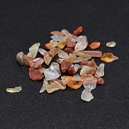 Natural Carnelian Chip Beads, No Hole/Undrilled, Dyed & Heated, 2~8x2~4mm, about 340pcs/20g(X-G-O103-18)