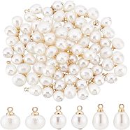 SUPERFINDINGS 90Pcs 3 Style  ABS Plastic Imitation Pearl Charms, with Golden Plated Brass Loop and Crystal Rhinestone, Mix-shaped, Creamy White, 12~13x8~10mm, Hole: 1.6mm, 30pcs/style(KK-FH0004-16)