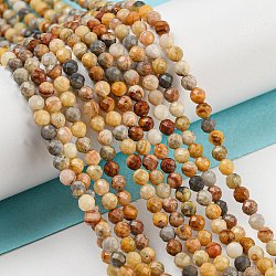 Natural Crazy Lace Agate Beads Strands, Faceted Round, 3mm, Hole: 0.8mm, about 120pcs/strand, 15 inch(G-A129-3mm-17)
