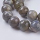 Natural Labradorite Beads Strands(X-G-G212-10mm-23)-3