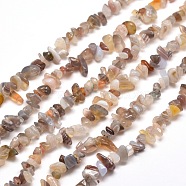 Natural Agate Chip Bead Strands, 5~8x5~8mm, Hole: 1mm, about 31.5 inch(X-G-M205-44)