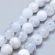 Natural Australia Marine Chalcedony Beads Strands, Grade A, Round, 10mm, Hole: 1mm, about 39pcs/strand, 15.75 inch(40cm)(G-D0010-03A-10mm)